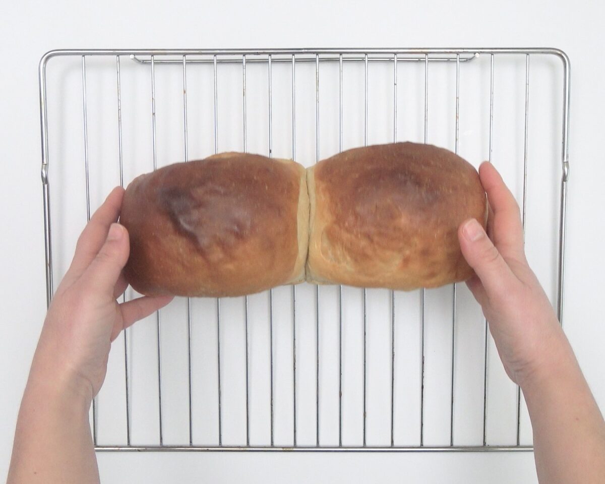 Pan de leche japonés