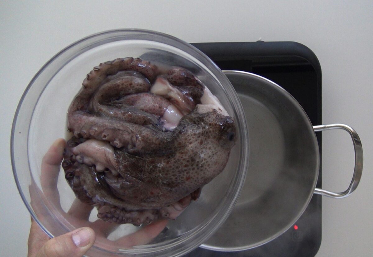Guiso de pulpo y langostinos con patatas