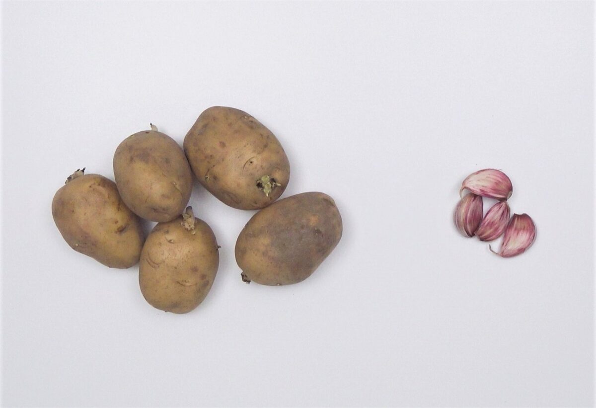 Ternasco al horno con patatas