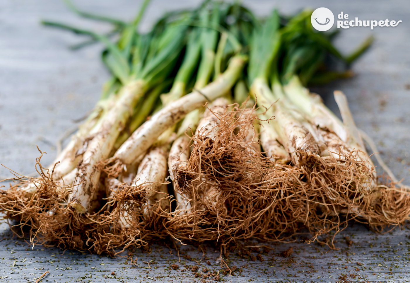 Calçots. Todo lo que necesitas saber de este manjar.