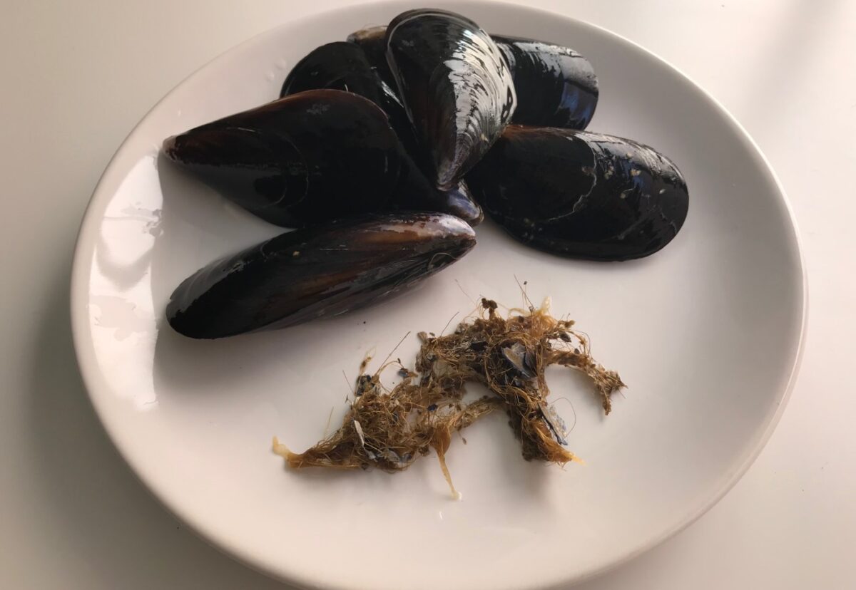 Espaguetis con marisco. Receta de pasta fácil y deliciosa