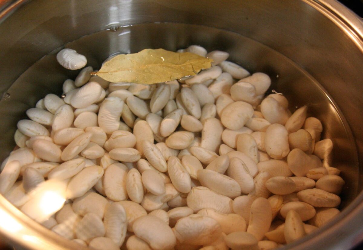 Judiones de la Granja