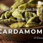 Cardamomo. Origen, para qué sirve, usos en cocina, beneficios y dónde comprarlo