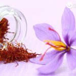 Azafrán. ¿Qué es y cómo cocinar con él?¿Tostar o infusionar?