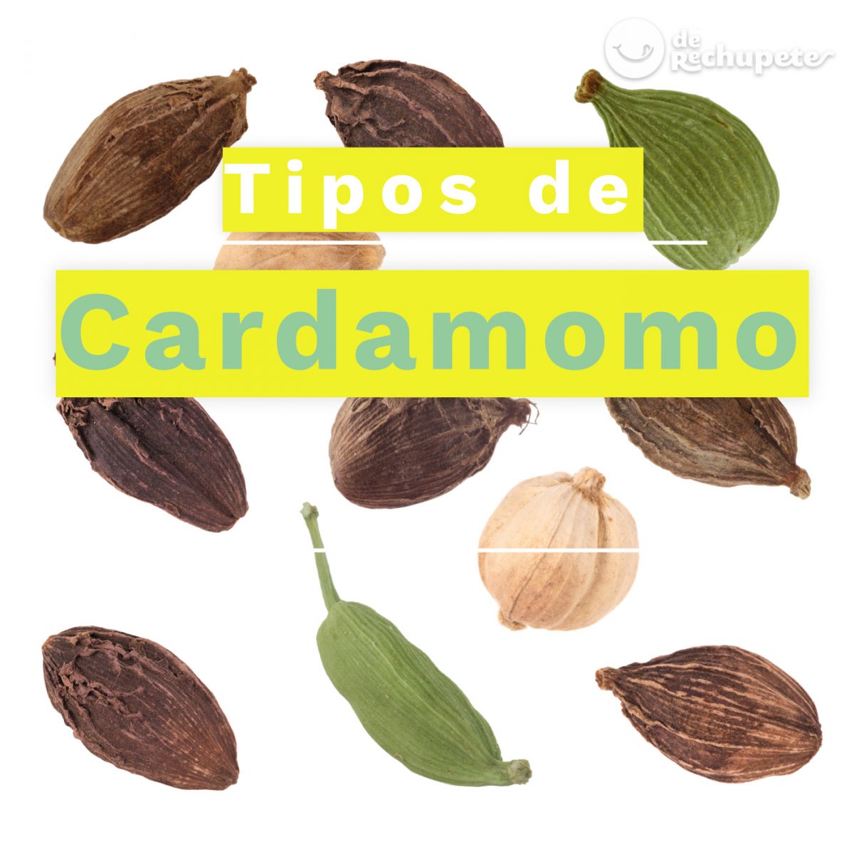 Cardamomo. Origen, para qué sirve, usos en cocina, beneficios y dónde comprarlo