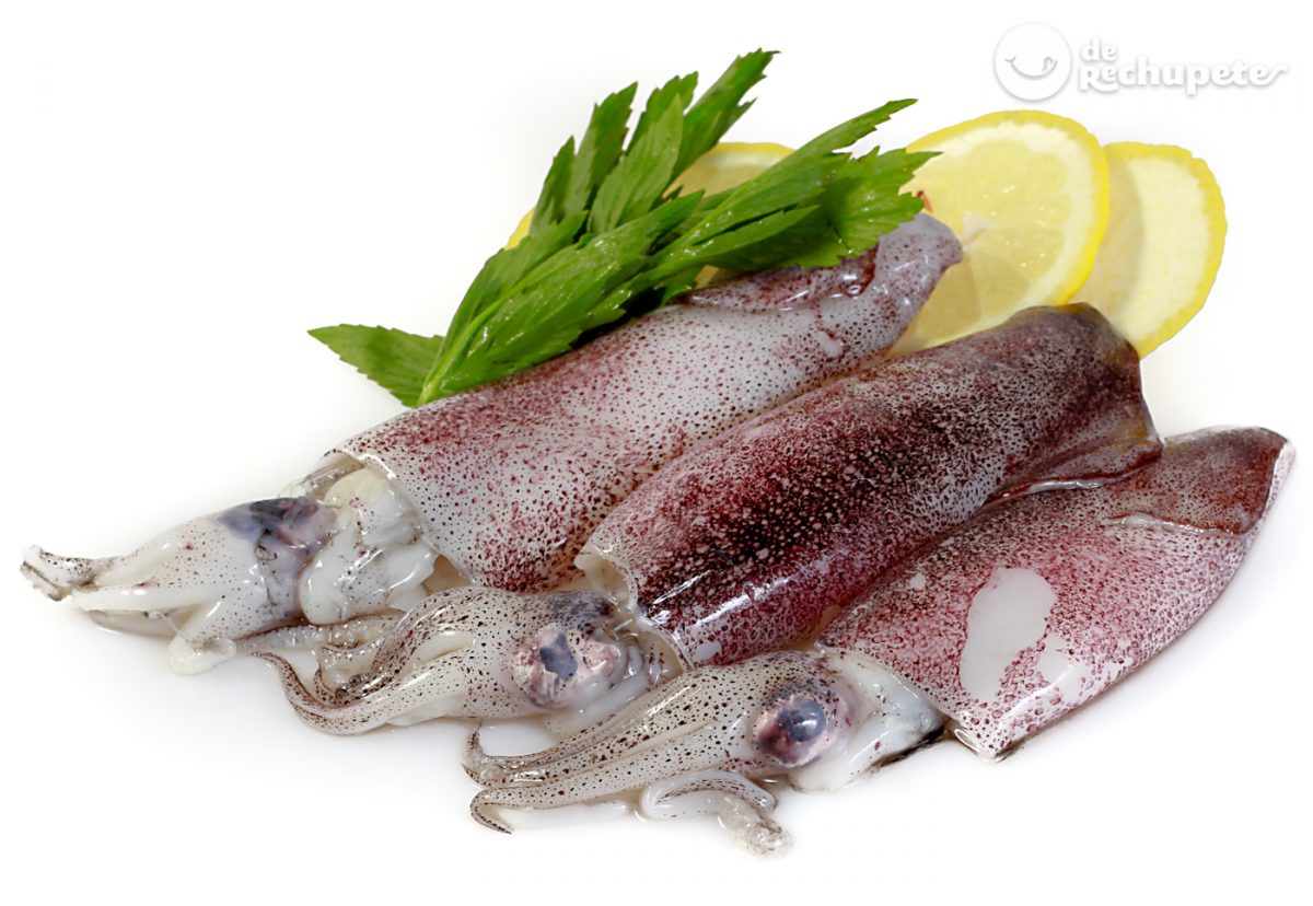 Calamares ¿Qué son?¿Marisco o pescado? Recetas con calamares