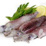 Calamares ¿Qué son?¿Marisco o pescado? Recetas con calamares