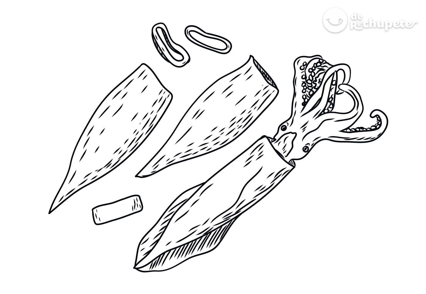 Calamares, chipirones, sepia... ¿cuál es mejor?¿cuál elegir para tus recetas?