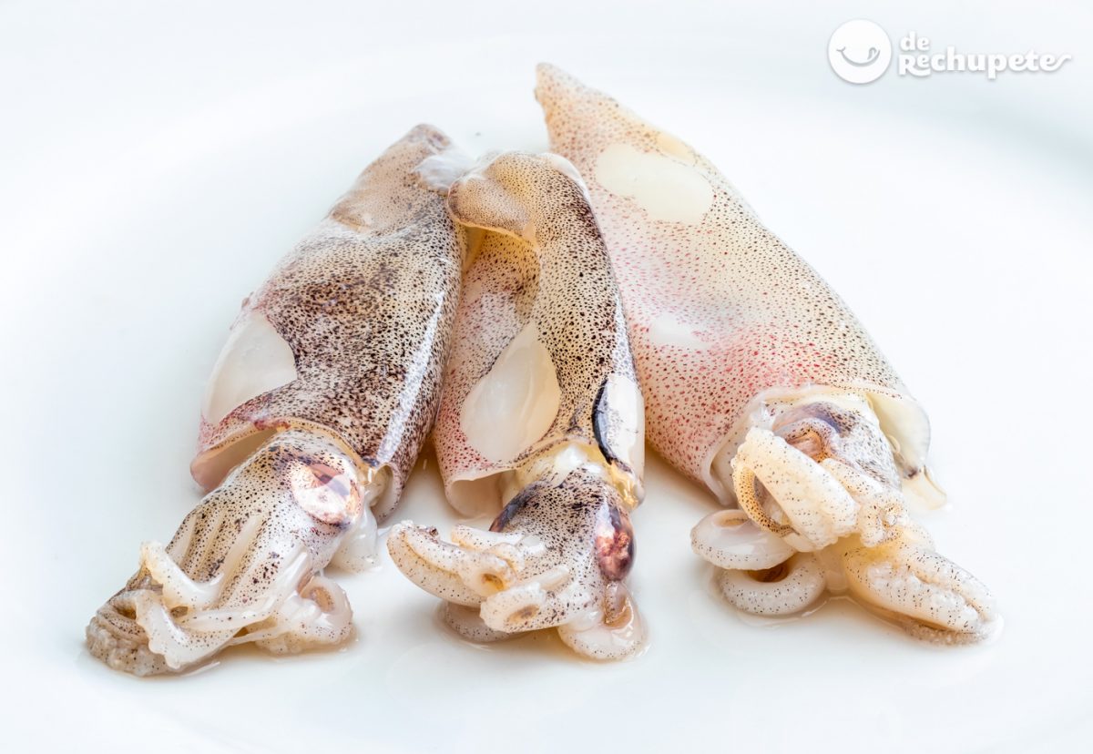 Chipirones. ¿Qué son y cómo los limpiamos? Recetas con chipirones