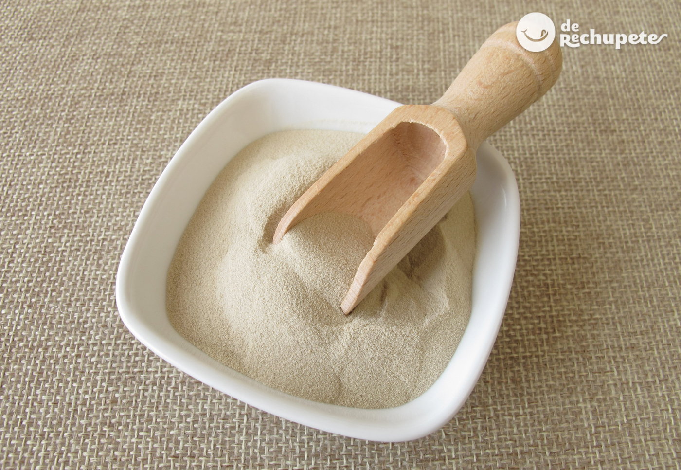 Cuajada en polvo. ¿qué es y cómo emplearla?¿cómo sustituir cuajada en una receta?