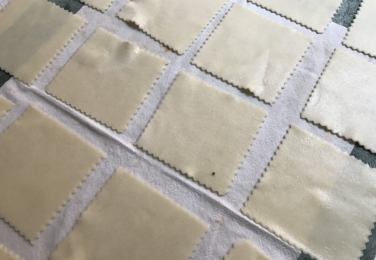 Canelones rellenos de espinacas y ricotta