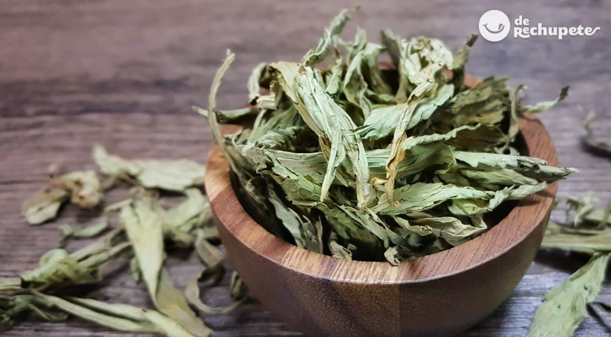 Stevia. ¿qué es? ¿cómo cocinar con ella?