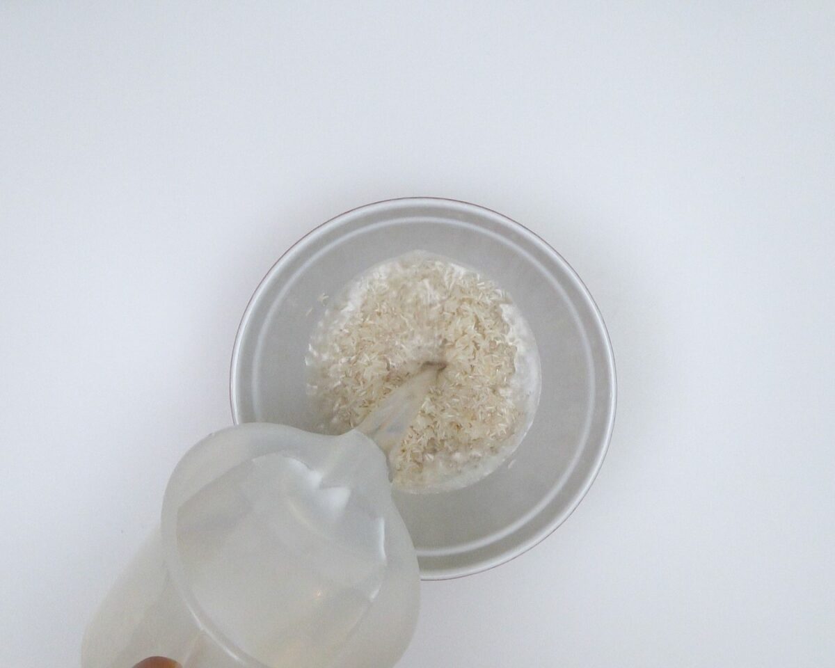 Arroz frito estilo oriental