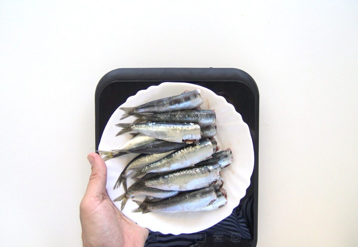 Guiso marinero de sardinas o xoubas