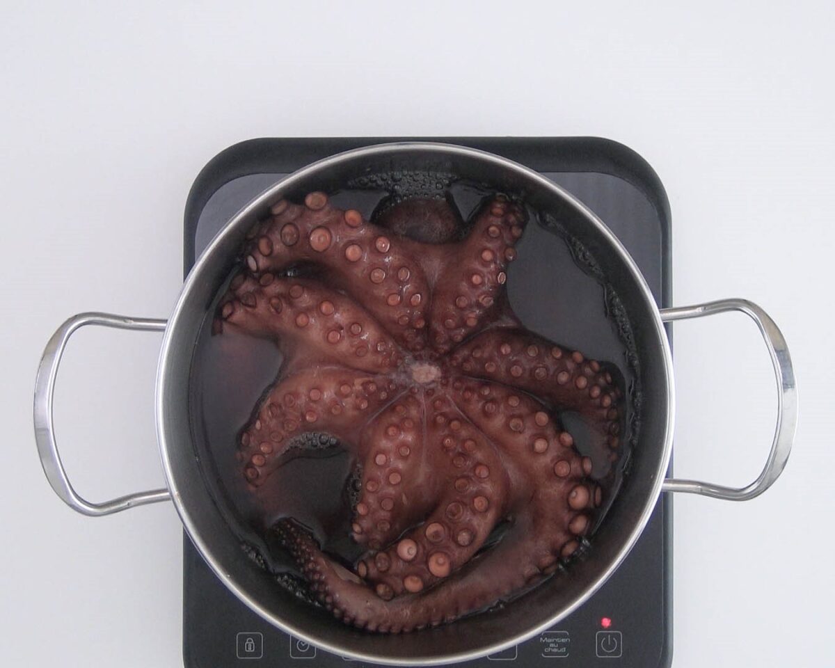 Pulpo con gambas al ajillo