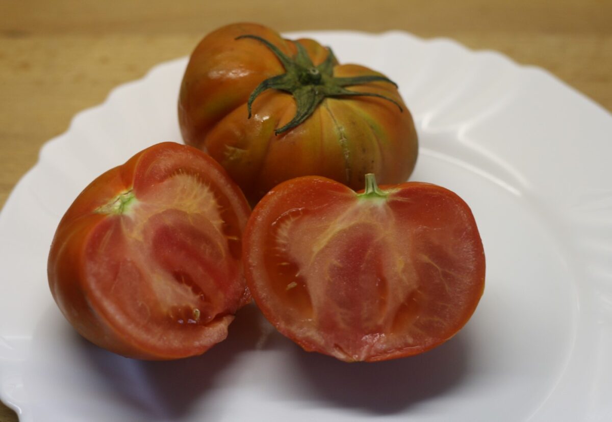 Bonito al horno con costra de nueces y tomate