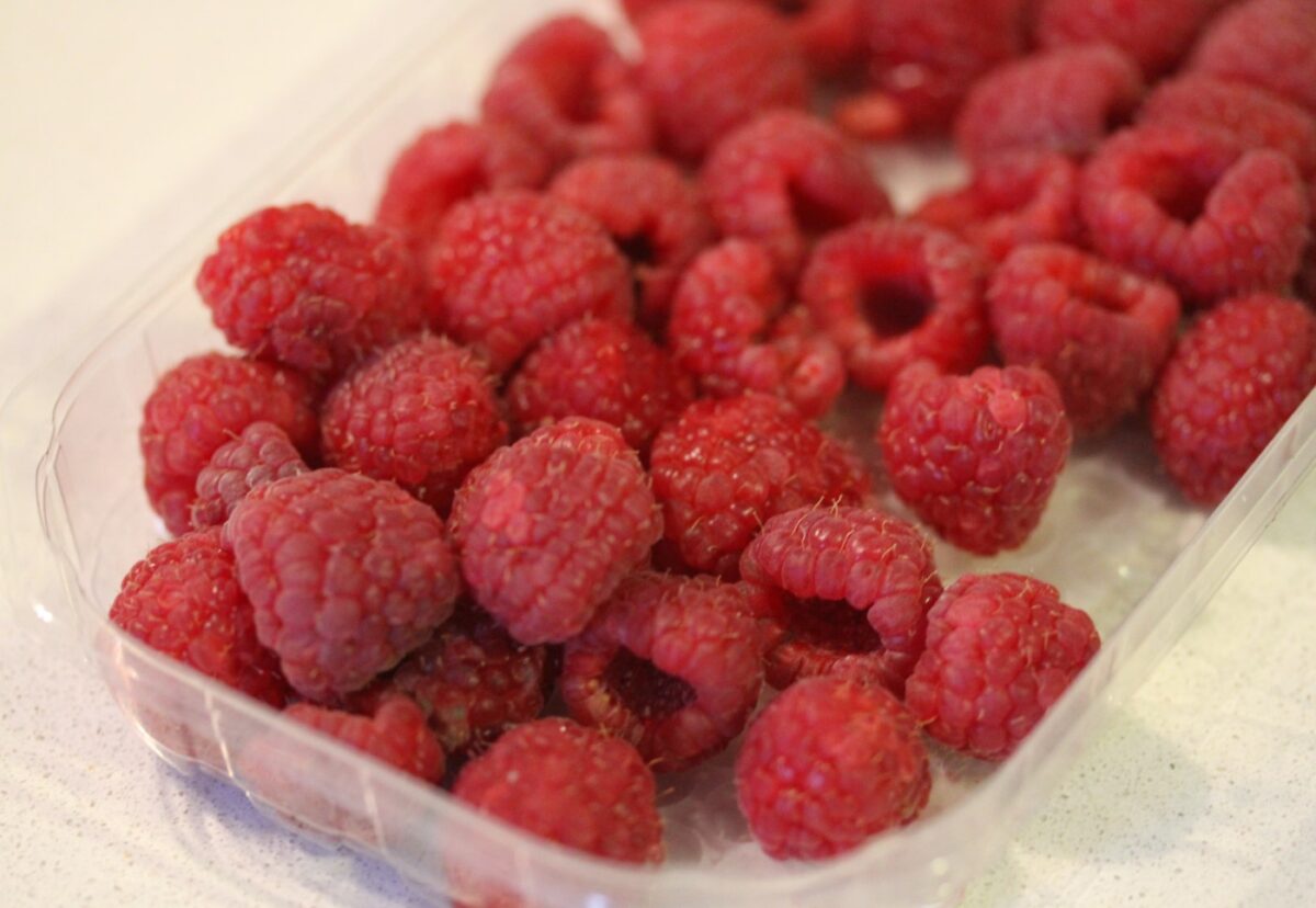 Yogur helado. Frozen yogurt con frambuesas y arándanos
