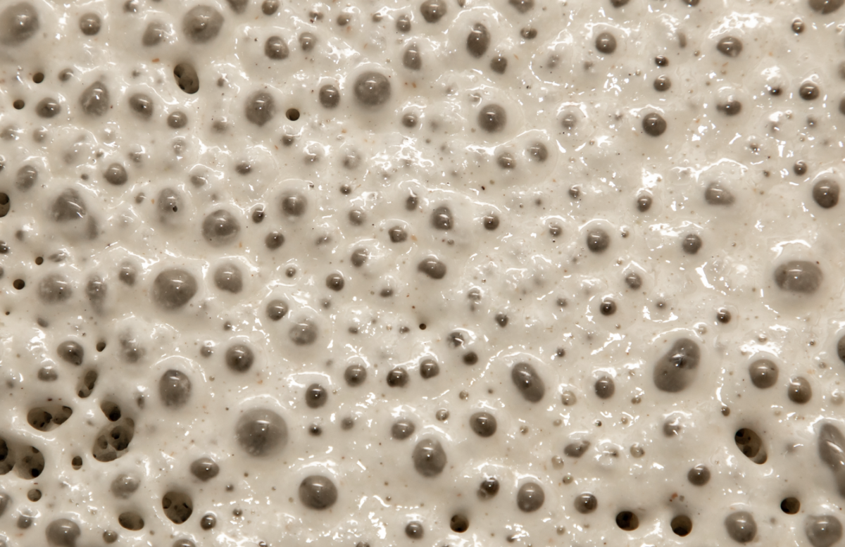 Prefermento o Poolish para hacer pan en casa
