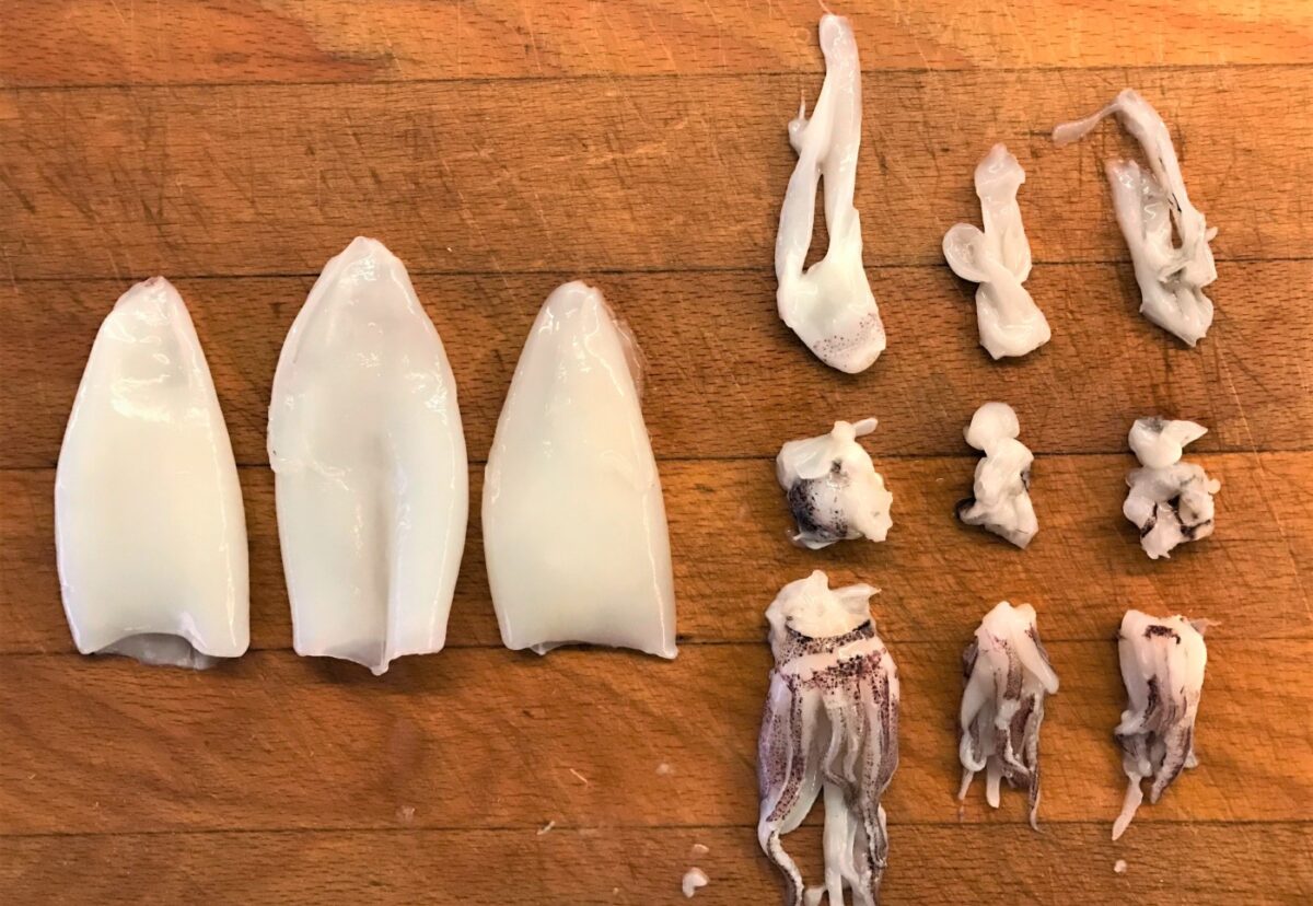 Chipirones. ¿Qué son y cómo los limpiamos? Recetas con chipirones