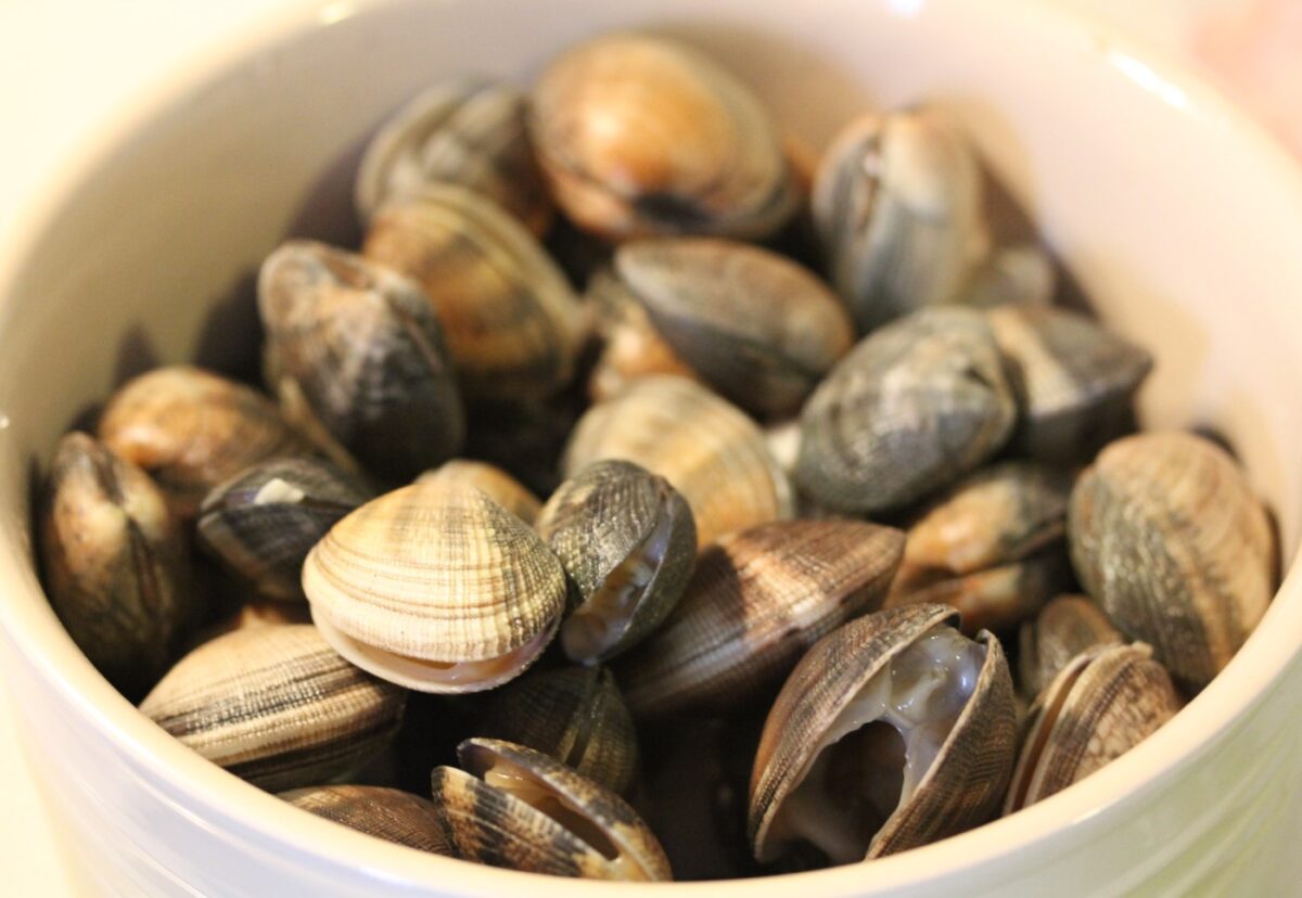 Almejas en salsa verde