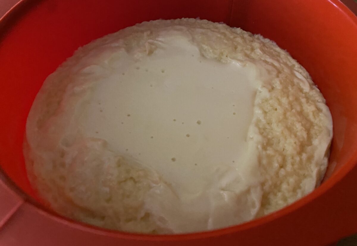 Tarta de queso al microondas. La tarta perfecta para principiantes en la cocina