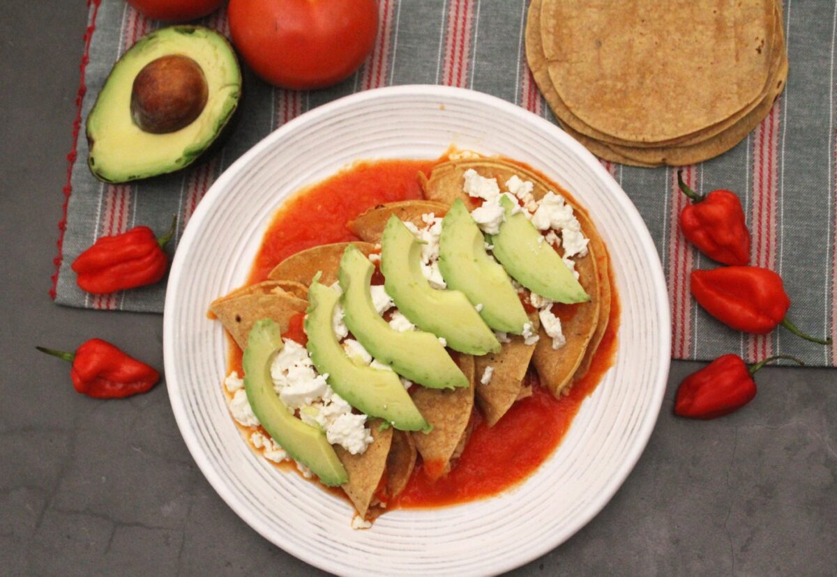 Entomatadas rellenas de pollo y queso. Receta mexicana deliciosa paso a paso