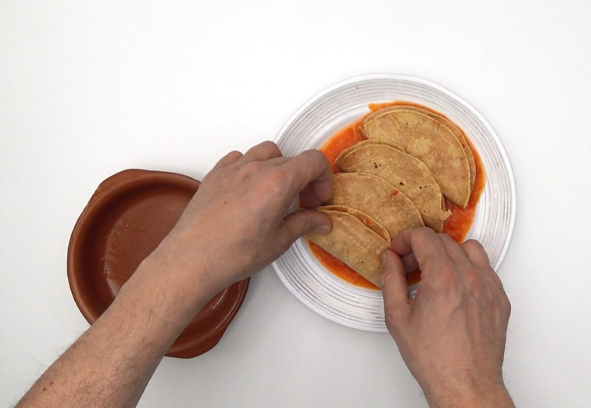 Entomatadas rellenas de pollo y queso. Receta mexicana deliciosa paso a paso