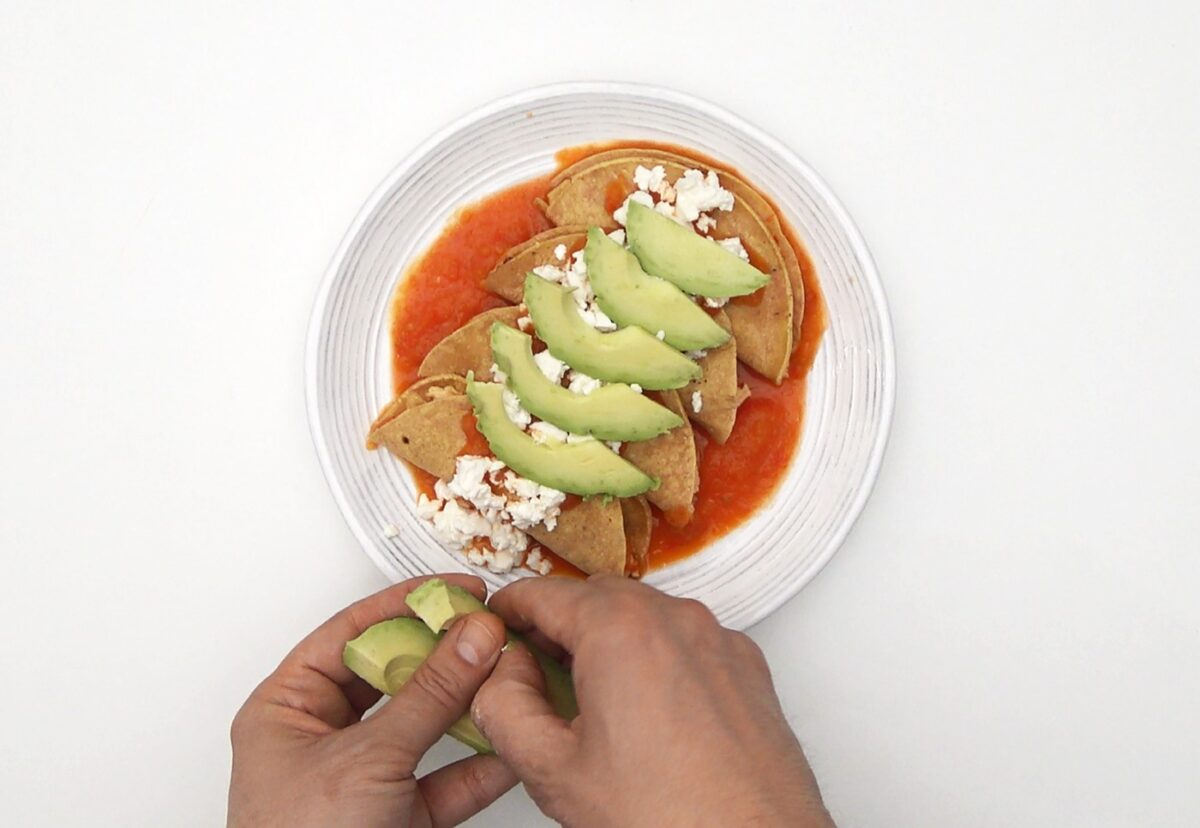 Entomatadas rellenas de pollo y queso. Receta mexicana deliciosa paso a paso