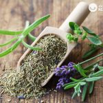 Hierbas provenzales o de la Provenza. ¿Cómo hacerlas en casa? Usos y beneficios en la cocina