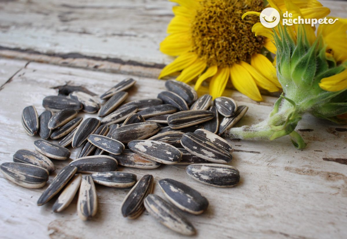 Beneficios y propiedades nutricionales de las pipas de girasol