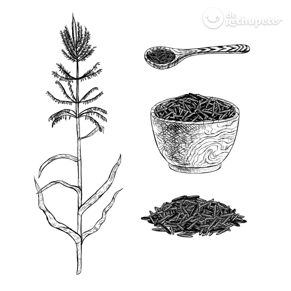 Arroz salvaje. ¿Qué es y cómo cocinarlo?