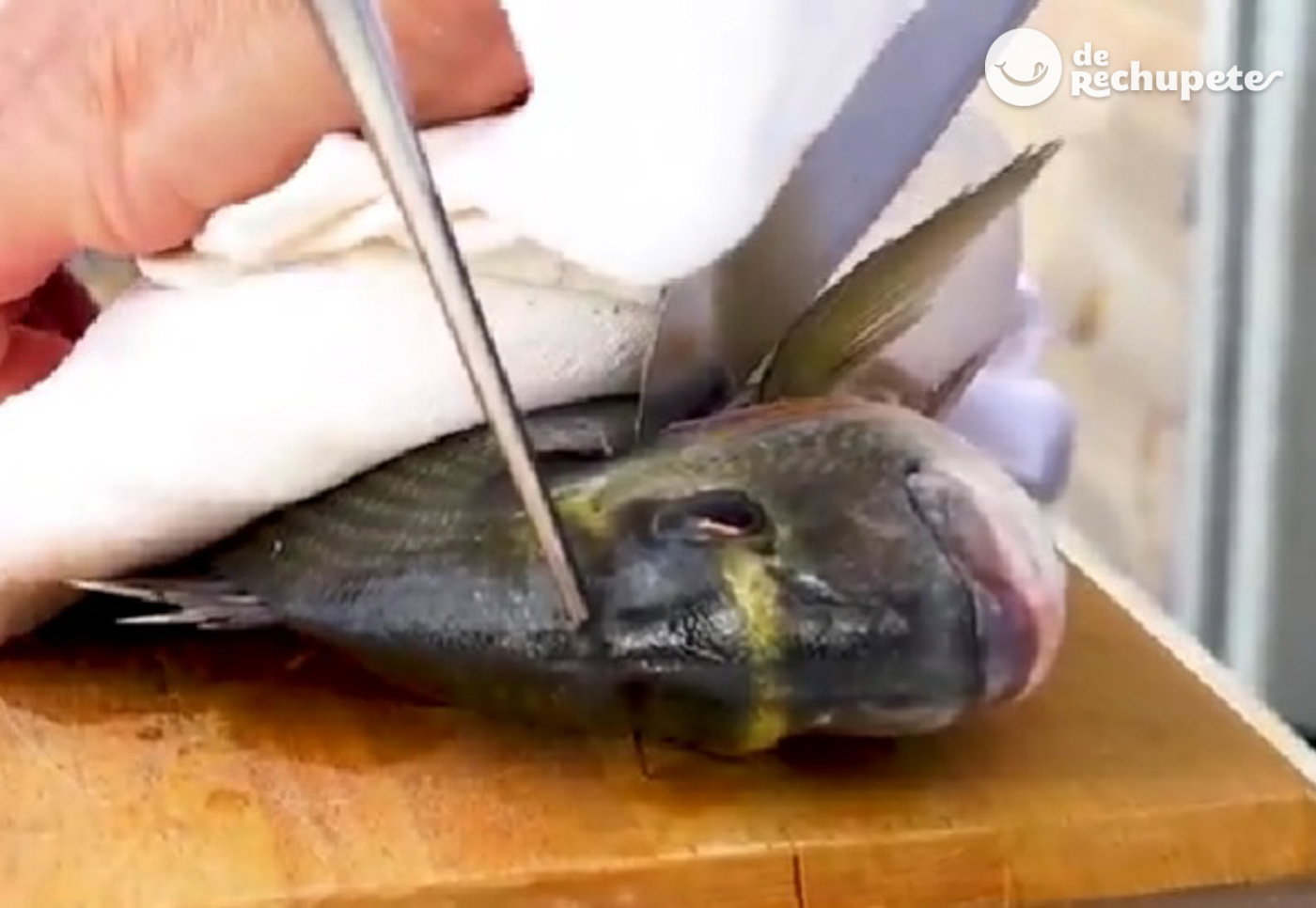 Ike Jime. ¿Qué es y en qué consiste esta técnica japonesa? Maduración del pescado
