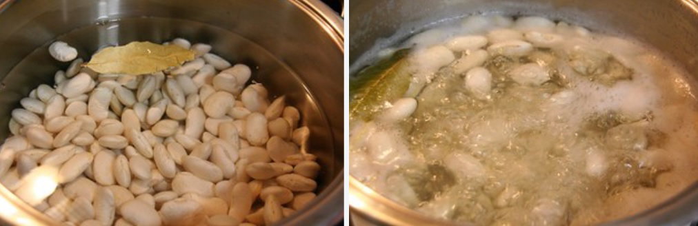 Alubias, frijoles, habichuelas, fabas, fabes, verdinas... ¿Son lo mismo? Recetas que puedes hacer con ellas
