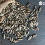 ¿Las pipas de girasol engordan?¿Tienen fibra?¿Estriñen? ¿Colesterol?