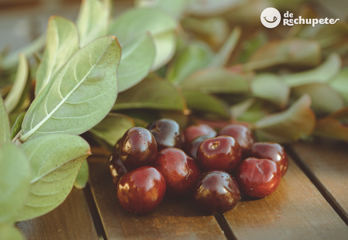 Mermelada de cerezas picotas