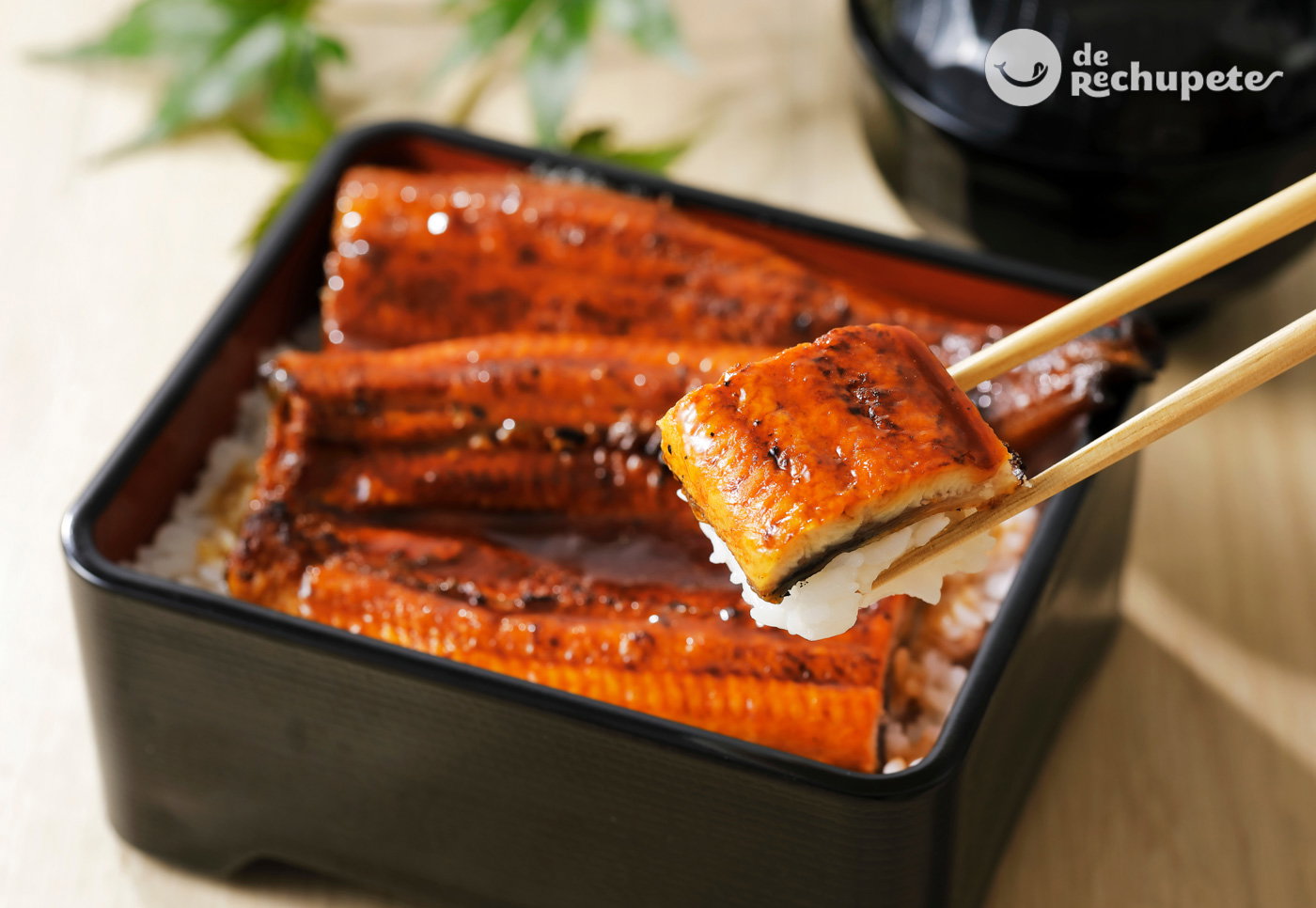 Salsa Unagi. ¿Qué es y cómo se hace? Historia de esta salsa japonesa