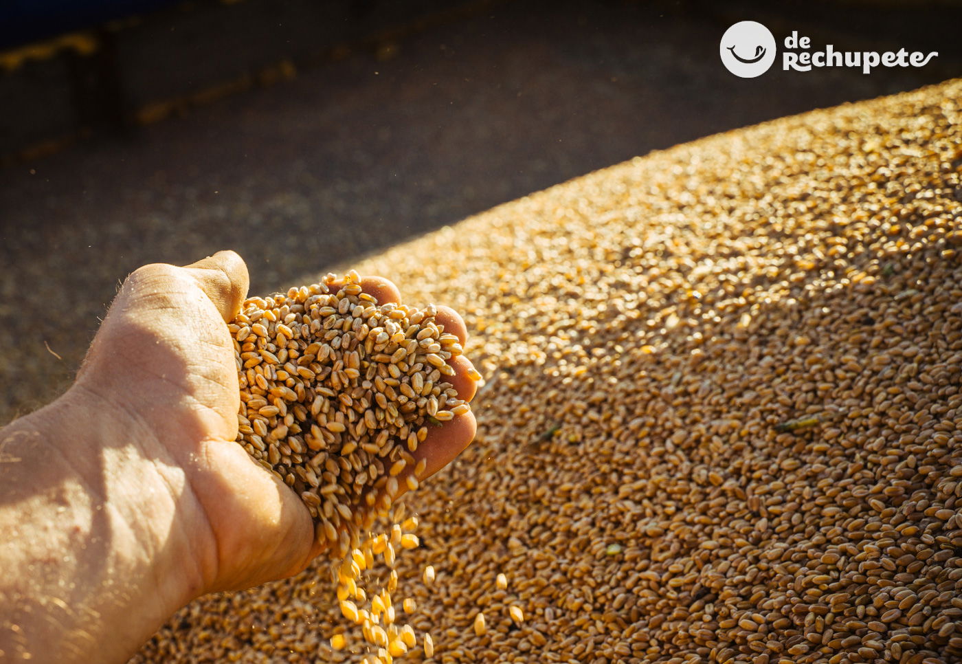 Harina de cebada. Propiedades y beneficios de este cereal - De Rechupete