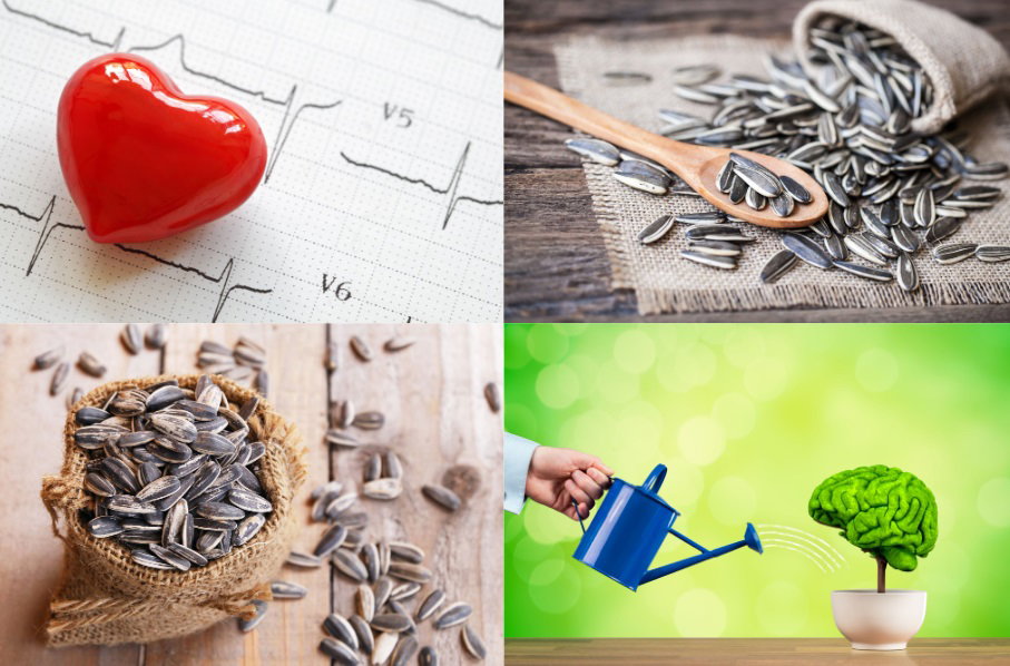 ¿Qué ingrediente aporta felicidad, mejora la memoria y baja el colesterol malo?
