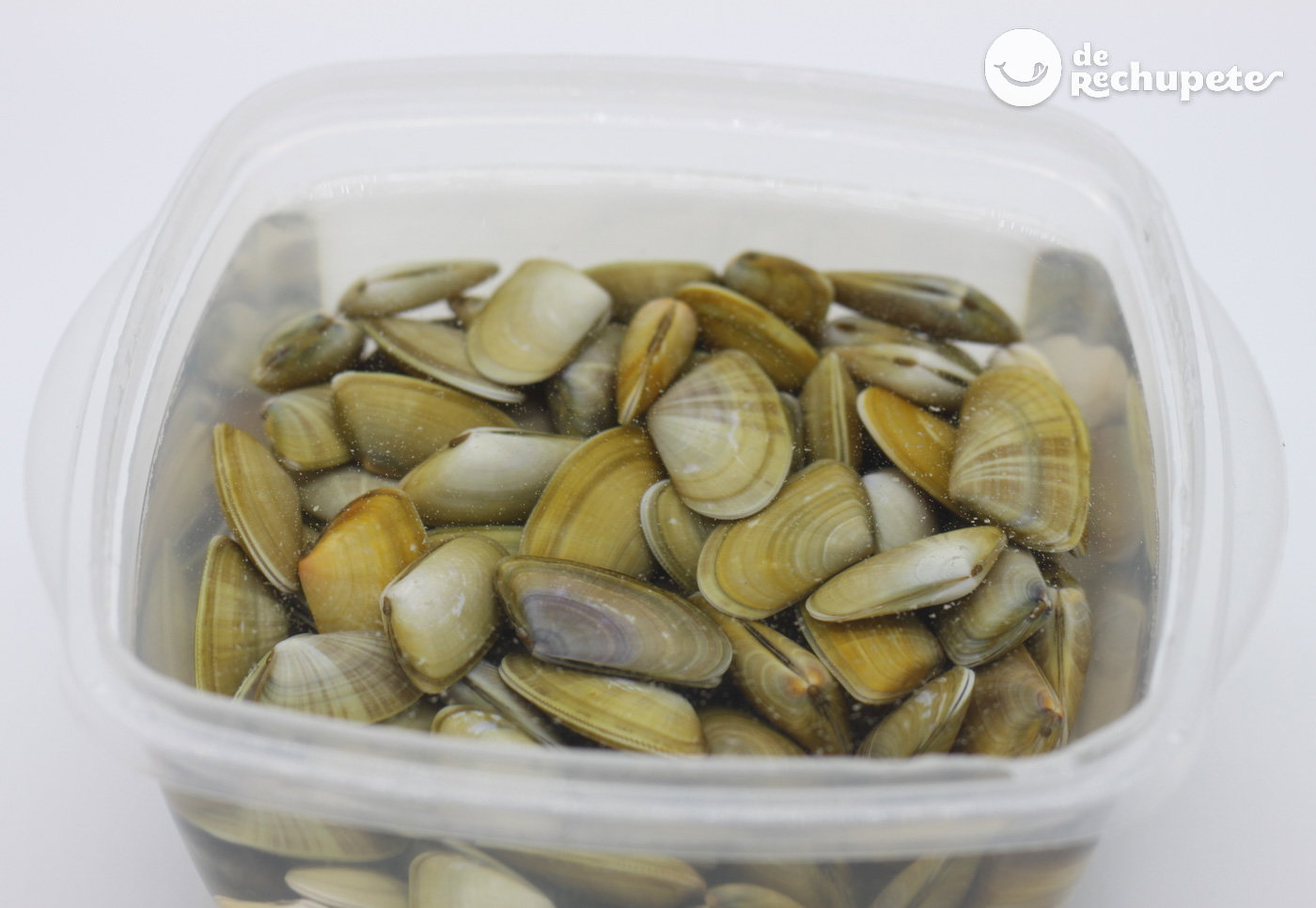Cómo hacer coquinas o tellinas. 3 formas de prepararlas, al natural, al ajillo y a la marinera