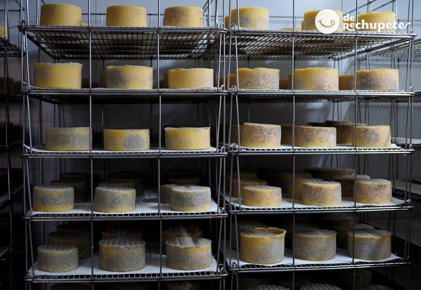 Queso Idiazábal. El rey de los quesos vascos