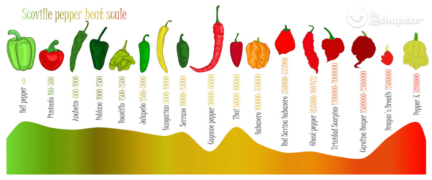 El pimiento más picante. Dragon's Breath Chili, el aliento del dragón
