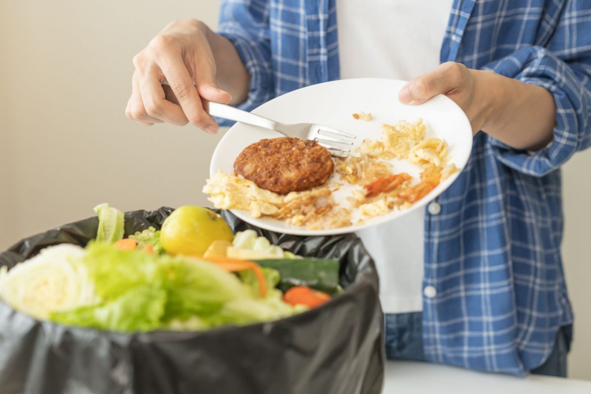 Tiras kg de comida a la basura ¿te lo puedes permitir?