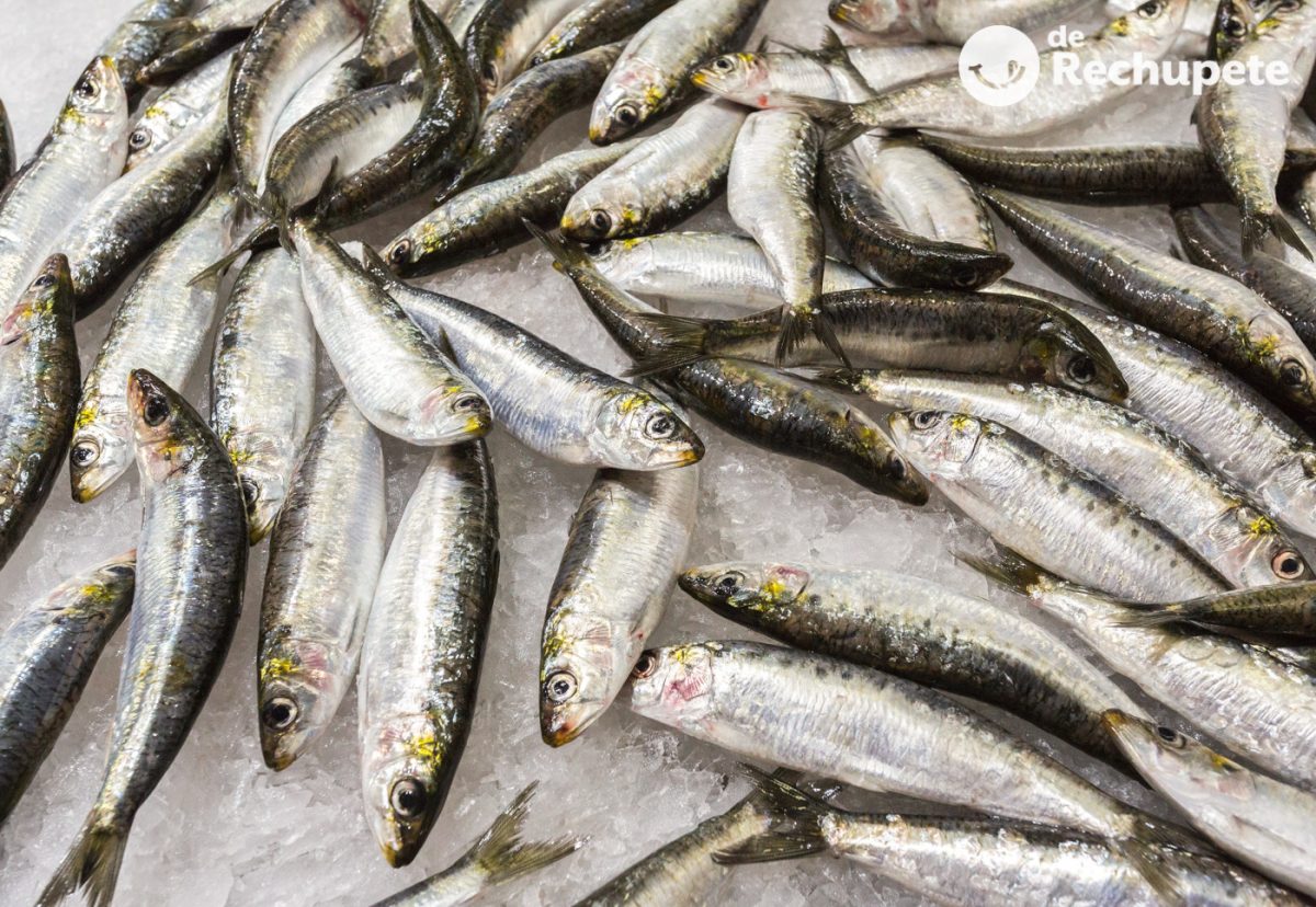 Cómo hacer sardinas a la parrilla o la brasa
