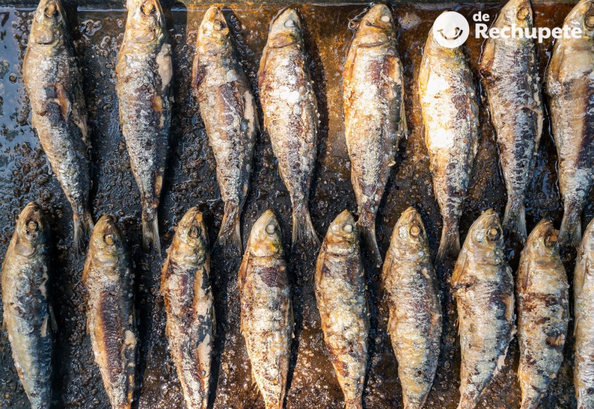 Sardinas a la plancha