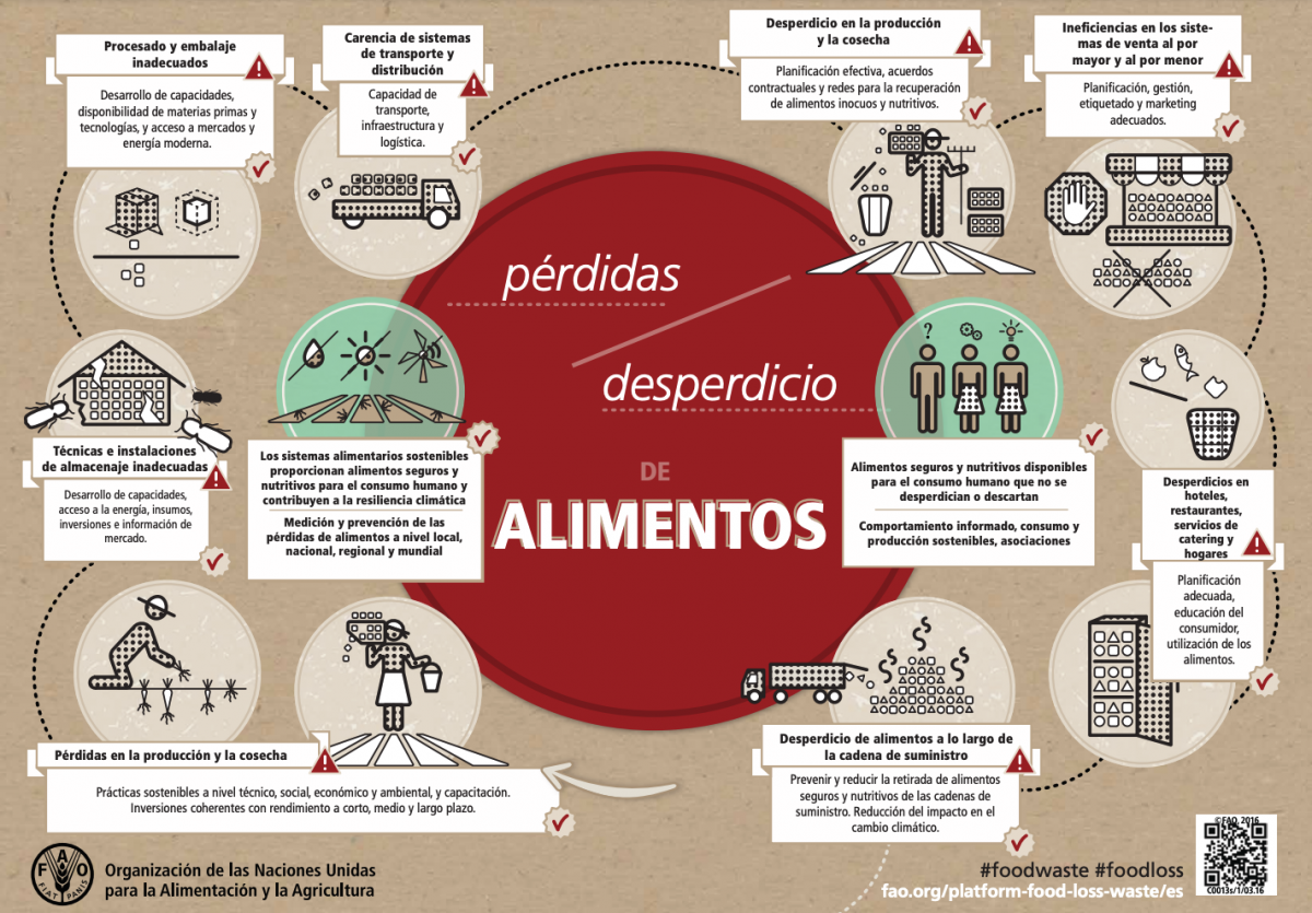 Dónde se produce el desperdicio de alimentos