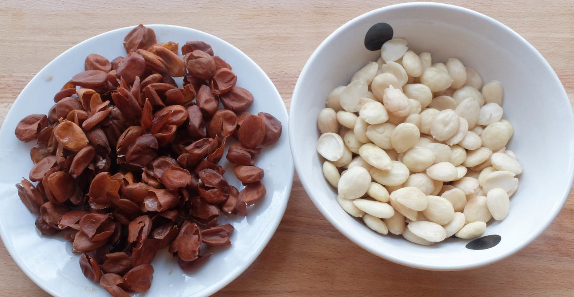 Ajoblanco malagueño. receta andaluza tradicional