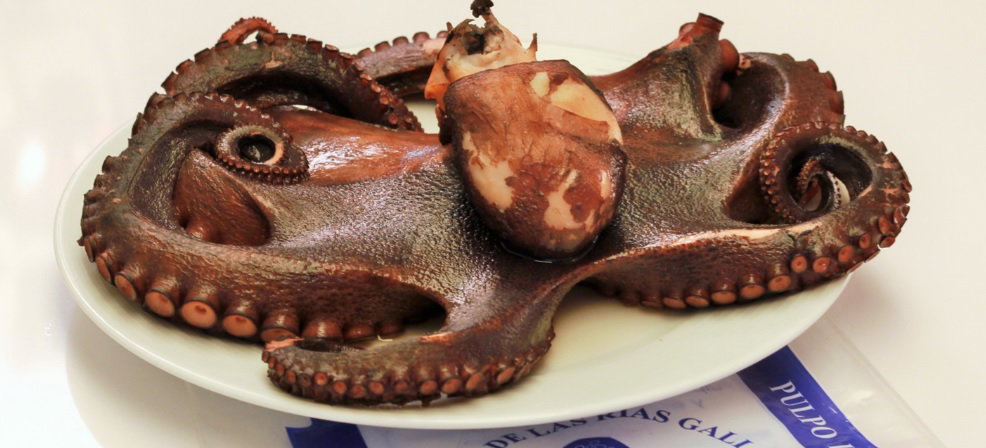 Pulpo gallego a la plancha. todos los consejos para que te quede perfecto