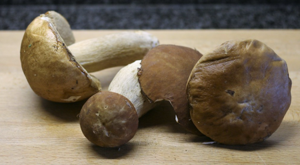 Garbanzos con langostinos y boletus edulis