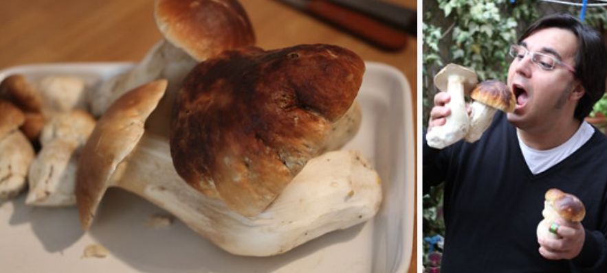 Tostas de setas Boletus y cebolla caramelizada