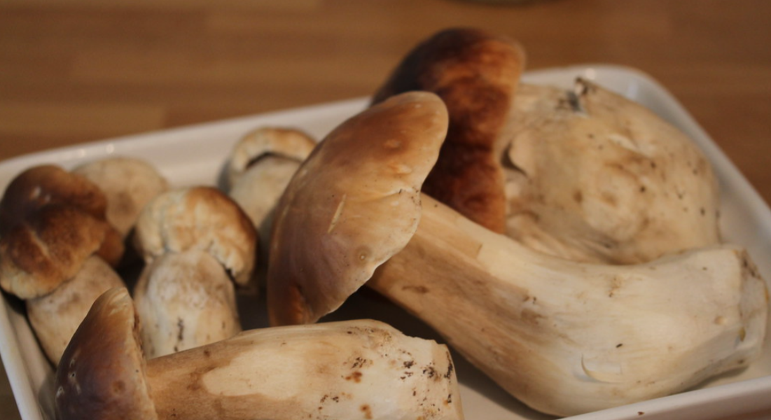 Tostas de setas Boletus y cebolla caramelizada